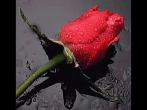 Download Mis Recuerdos La Arrolladora Descargar Mp3 Dan Mp4 2019 Baymax Mp3 baymax mp3