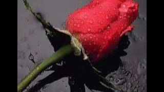 Mis recuerdos la arrolladora