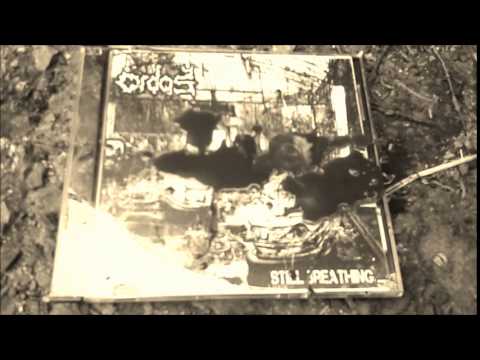 Ordos - Ordos - Still Breathing