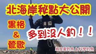【北海岸釣魚】跟著科學釣魚來去北海岸磯釣小搞搞｜蝦皮愛釣魚 @科學釣魚