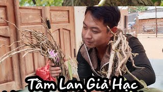 preview picture of video 'Tầm Lan Giả Hạc Vườn Quốc Gia Chư Mom Ray - Picking orchids fake crane Chư Mom Ray National Park'
