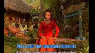 Download lagu Daun pulus 17 mp3 Download lagu Daun pulus 17 mp3