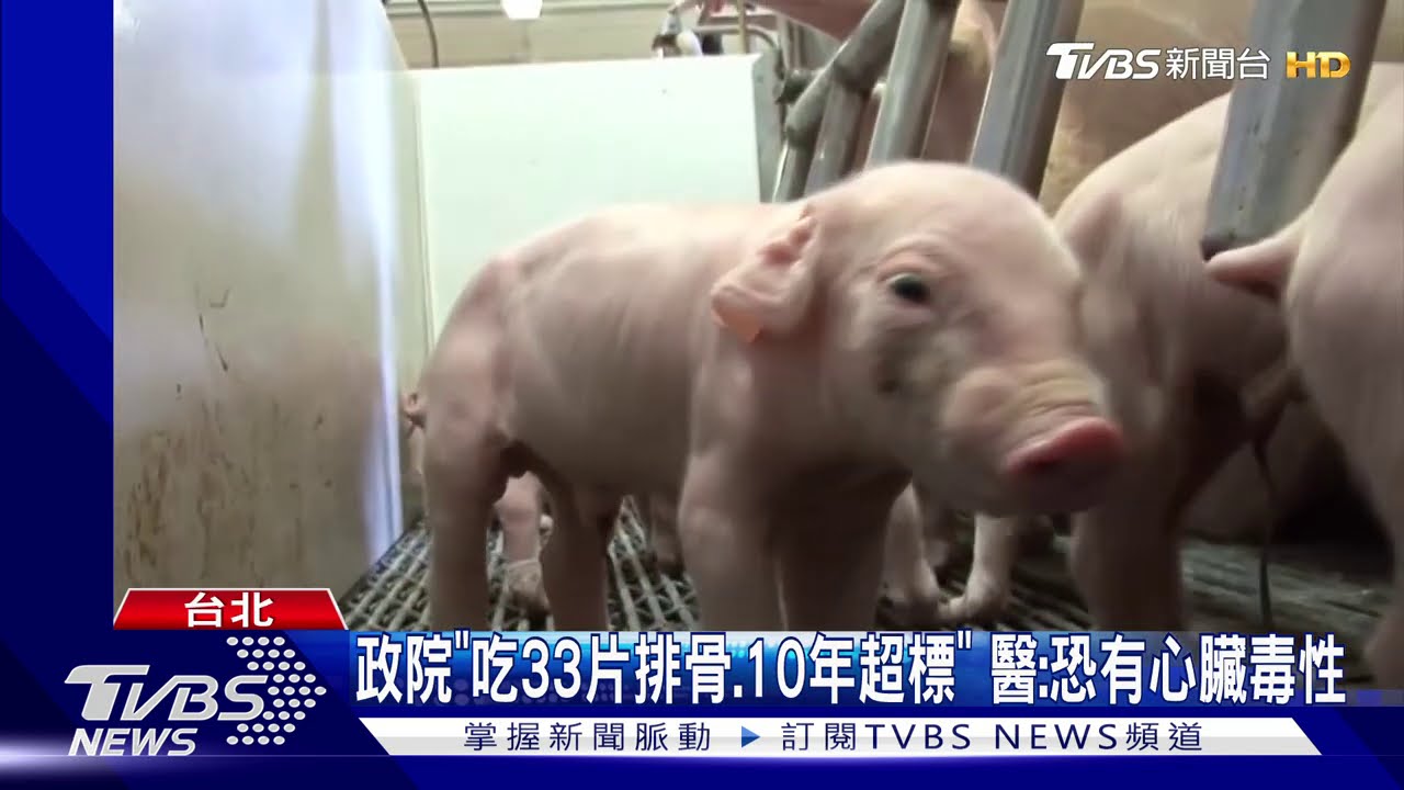 瘦肉精積內臟! 醫師:心血管、慢性病「延長毒曝」