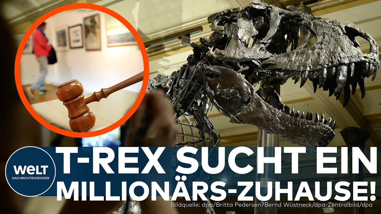 NEW YORK: 30 Millionen Dollar für einen Dinosaurier? Dieser T-Rex soll Geschichte schreiben!
