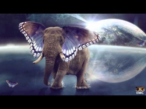Marcus Warner - If Elephants Could Fly