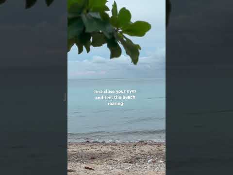 #thailand #beaches #whitesandbeaches #cleanbeaches #beachlife #trendingshorts #bangkok