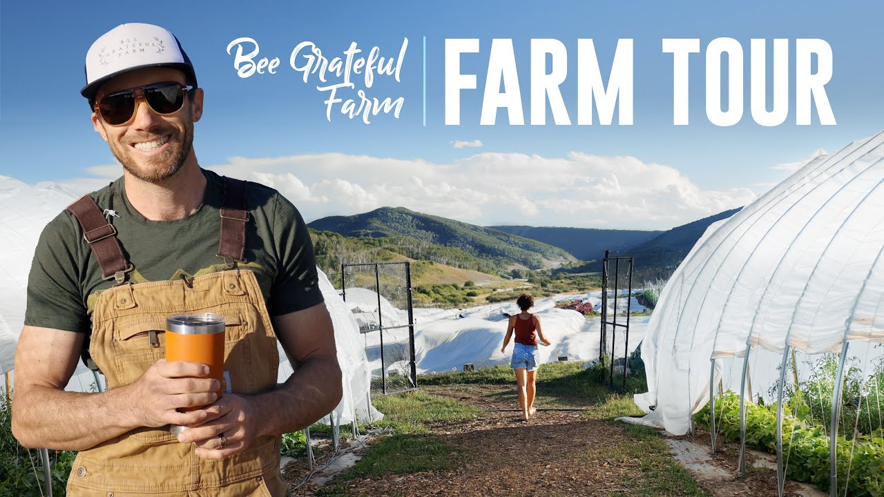 FULL TOUR of Bee Grateful Farm in the Colorado Rockies!