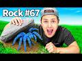 I Flipped 101 Rocks In A Forest Here S What I Found