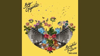 Got The Love (feat. Jennifer Hartswick)