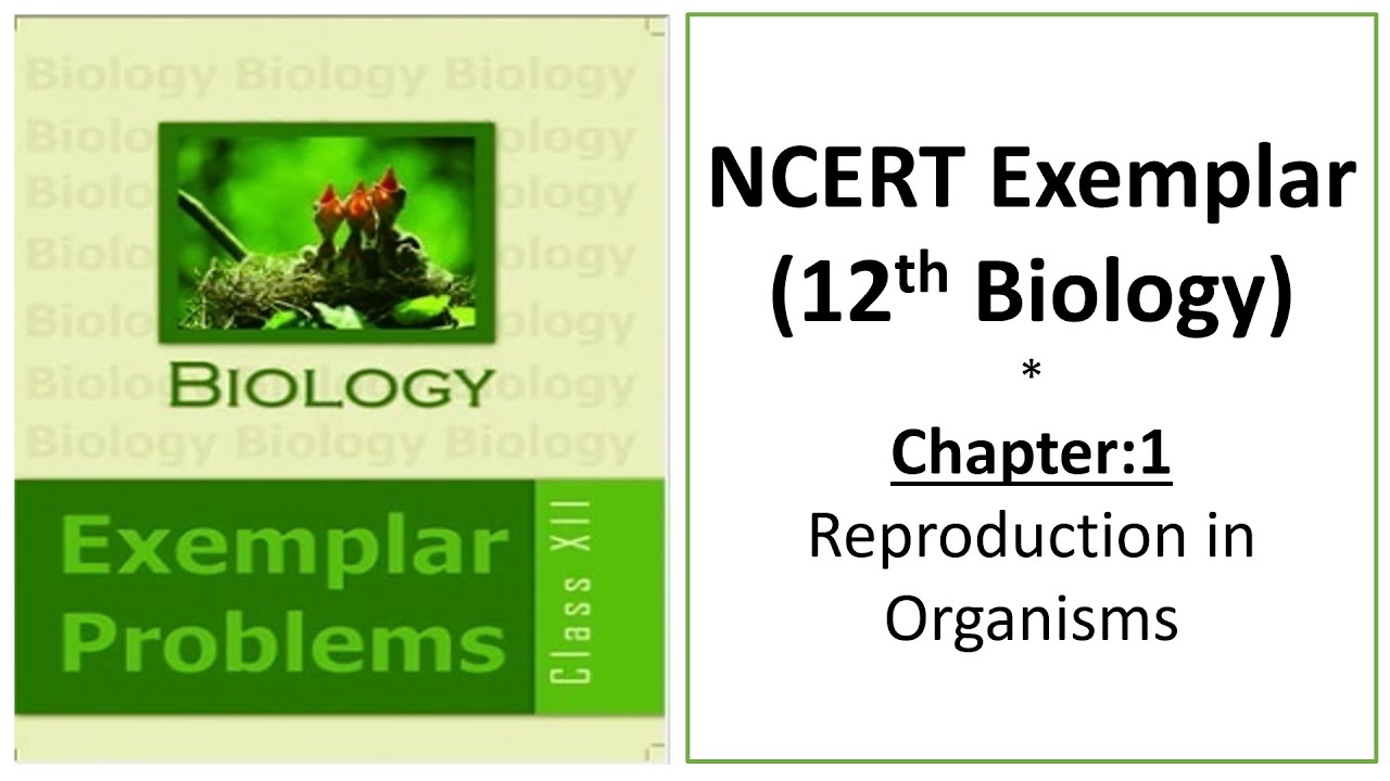 Reproduction in Organisms Chapter 1 ||  NCERT Exemplar Class 12 Biology || MCQ Solutions & Analysis