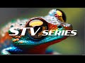 Introducing The STV Series