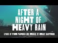"After a Night of Heavy Rain (Official Audio)"- Lyrics by Tom Pacheco, Music by Mary Gauthier