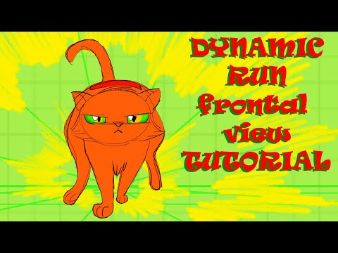 DYNAMIC RUN Frontal View TUTORIAL