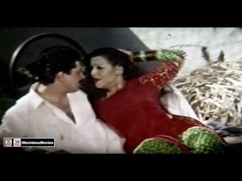 NAI TERE BAJON CHAIN VE - PAKISTANI FILM JATTI DA VAIR