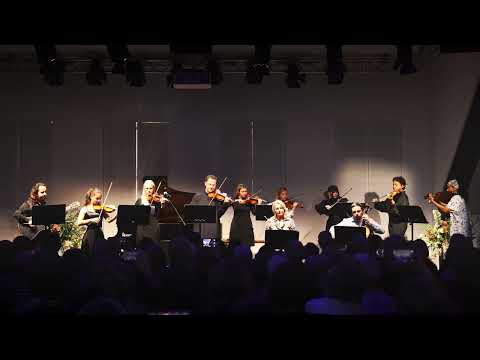 Dust In The Wind - Barther Streichensemble mit Martin Panteleev
