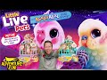 Little Live Pets Really My Really Real Bird Cage Singing Talking Birds Toys Review