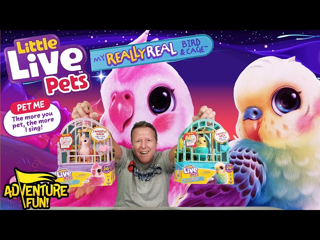 Vídeo relacionado con My Really Real Bird & Cage de Little Live Pets - Indie, Pájaro Interactivo, Realista, Más de 20 Sonidos y reacciones, Jaula: 25 cm, pájaro: 10,9 cm, Graba y Repite o responde silbando, Jaula portátil