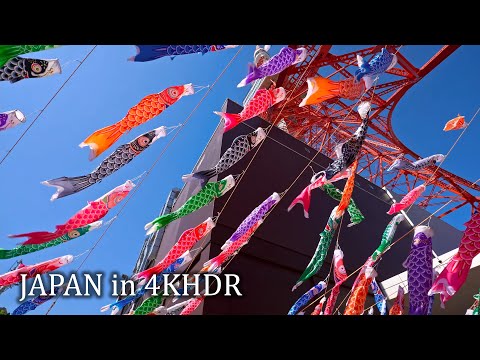 4K・ Morning Tokyo sakura walk - Zojoji, Tokyo tower, Izumi garden・4K HDR