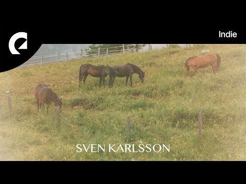 Sven Karlsson feat. Mia Niles - In Need of Remedy