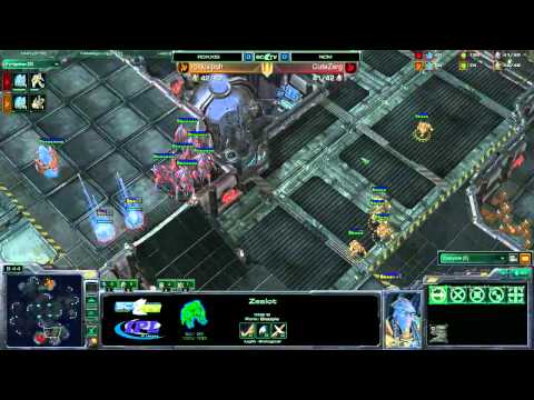 rox.Neytpoh vs ncm.cutezerg @ TerminusRe