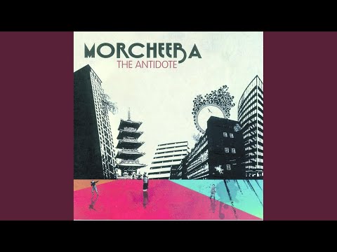 Everybody Loves A Loser - Morcheeba