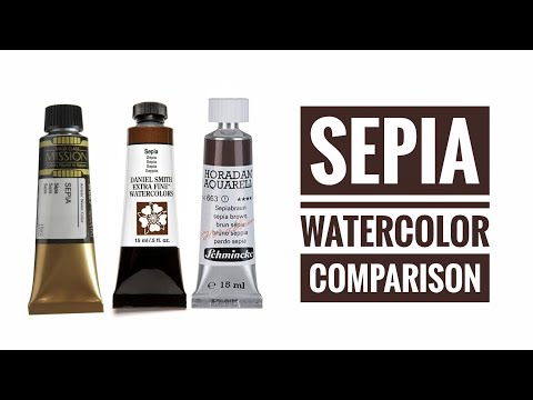 Sepia Watercolor Comparison - Daniel Smith - Schmincke - Mijello - Cotman