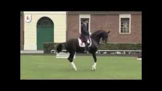 La propre sœur de Dancier pour le Haras de Malleret
