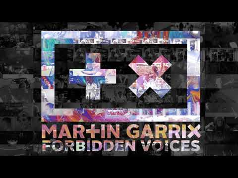 Martin Garrix - Forbidden Voices (Jake Liedo remix) X Galantis - Runaway (Quantik Studio Mashup)