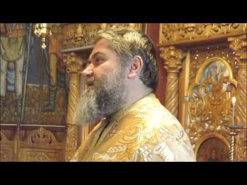 Predica la Duminica samarineanului milostiv, 16 noiembrie 2014 (Manastirea Hodos-Bodrog)