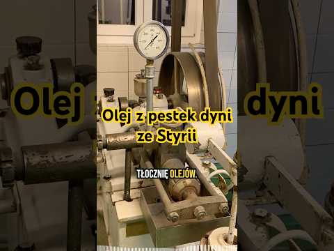 JAK POWSTAJE OLEJ Z PESTEK DYNI W STYRII