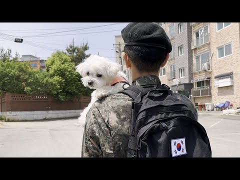길에서 휴가 나온 군인 오빠를 본 강아지 반응