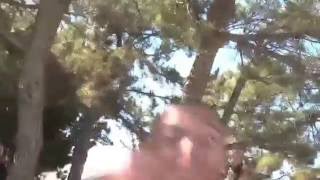 Cover art for revenge for nexus gd