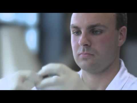 Birth of a REMOS Aircraft