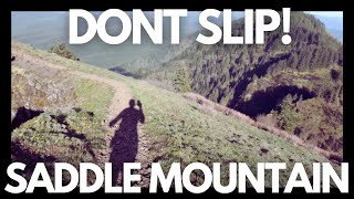 Epic Hike, But Don't Fall! Saddle Mountain | Wildflowers and Views for Days