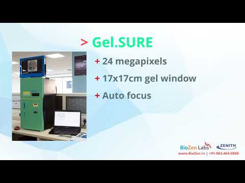 Gel doc imaging system