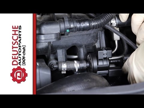 N80 (Evap Purge Regulator) Valve DIY (How to) Install on 2.0T FSI