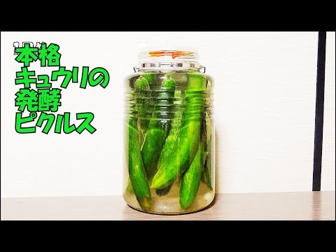 キュウリのピクルス: ヒントとレシピ 植物