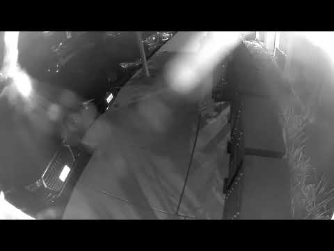 Partial Mail Cluster Theft 3.12.25 @ 3:55am