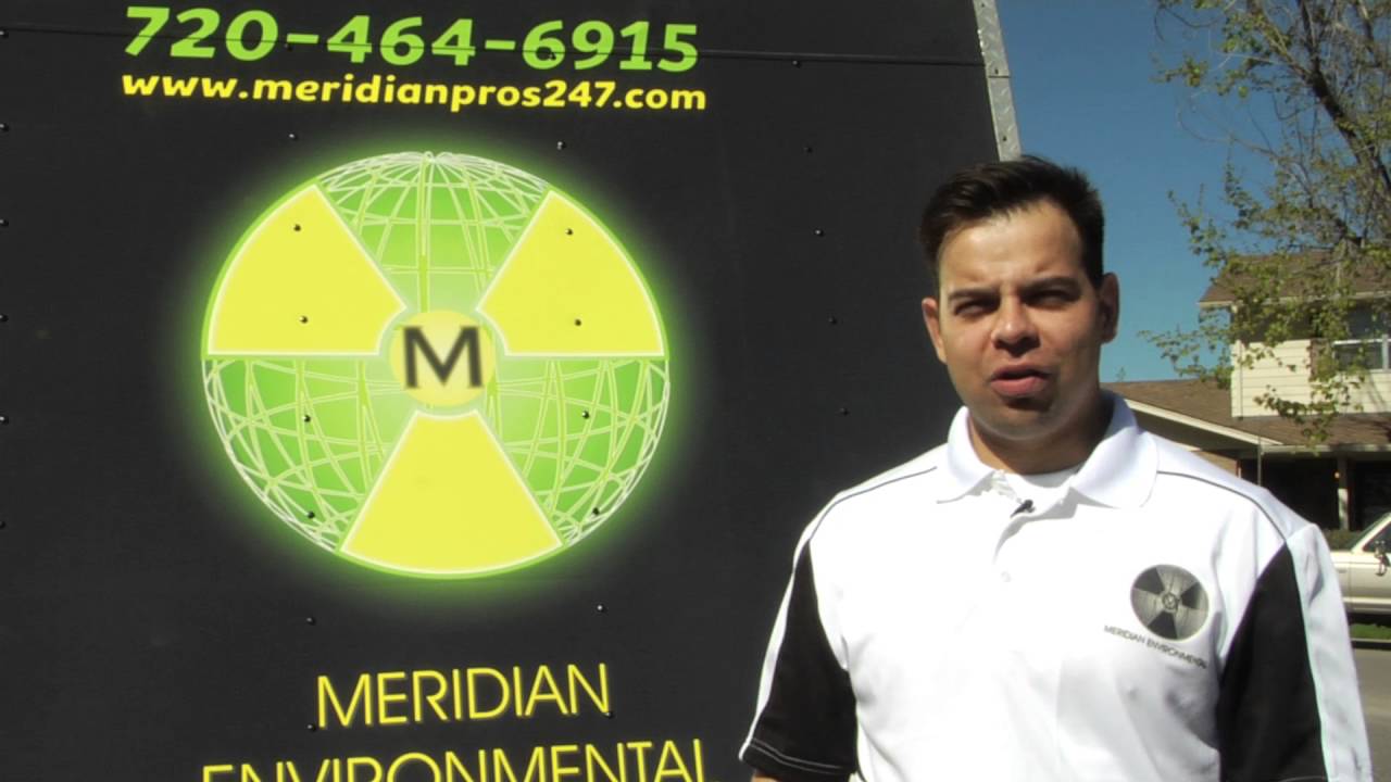 Meridian Environmental