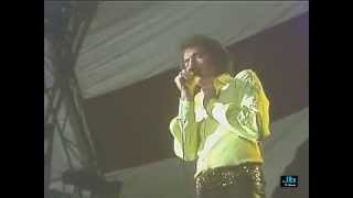 Neil Diamond - The Last Picasso (The Thank You Australia Concert, Live 1976)