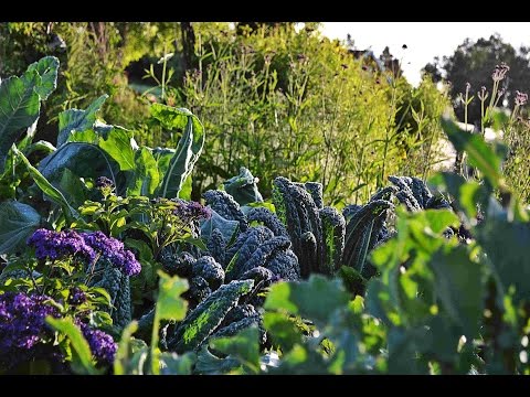 Skillnadens Trädgård av Sara Bäckmo