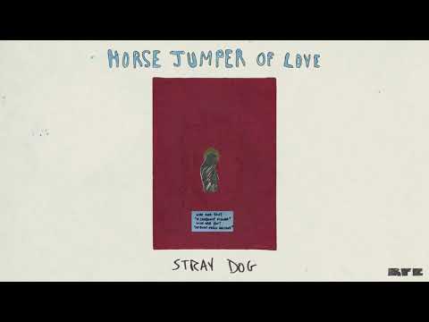 Video thumbnail for Stray Dog