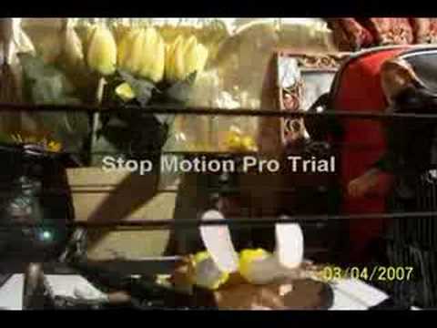 Wbib new show week 1