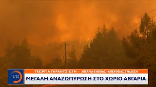 Φωτιά Εύβοια: Μεγάλες αναζωπυρώσεις σε Αβγαριά και Γαλατσώνα  | Μεσημεριανό δελτίο | OPEN TV