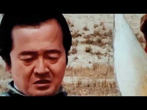 Comprimidos de Gyodai