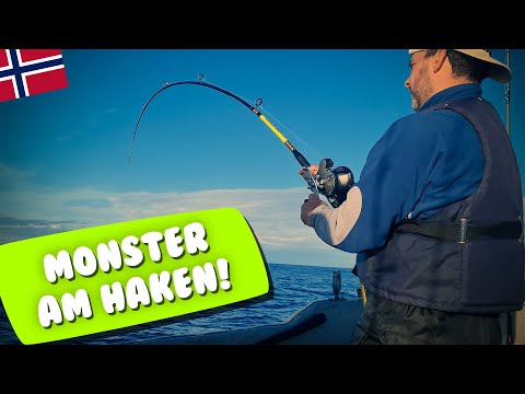 Angeln vor Bjørnvika / Mittelnorwegen - Das Bärendorf mit den großen Fischen