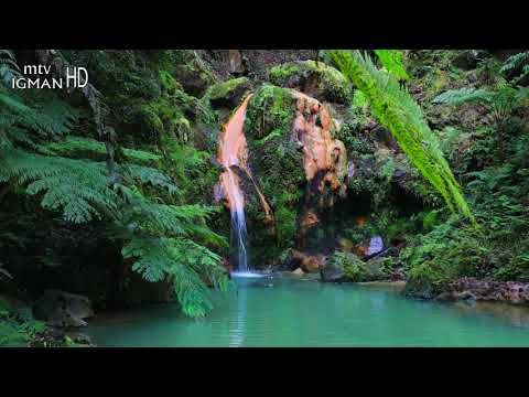 RAMAZANSKA DOVA 7. DAN - MTV IGMAN