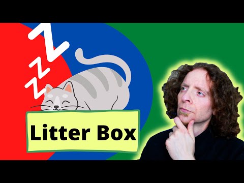 Cat Sleeping In Litter Box | A veterinarian explains why