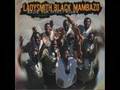 Ladysmith Black Mambazo - Mbube 