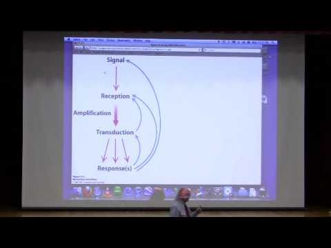 Kevin Ahern's Bite-Sized Biochemistry #18:  Signaling